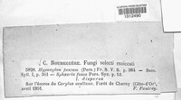 Image Associated With the Occurence